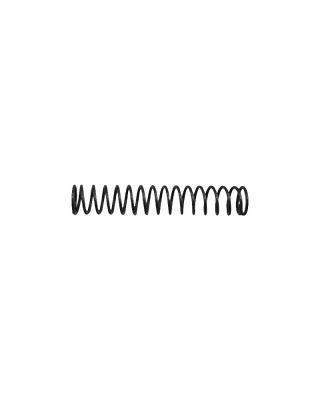 Fiorenzato/Quamar Locking Pin Spring